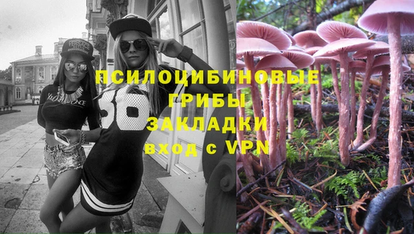 трава Богданович