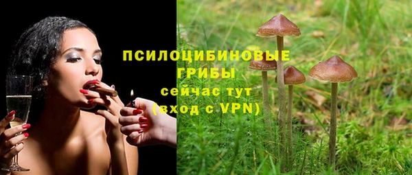 каннабис Богородицк