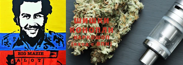 трава Богданович