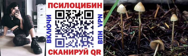 Галлюциногенные грибы Magic Shrooms купить наркоту Няндома